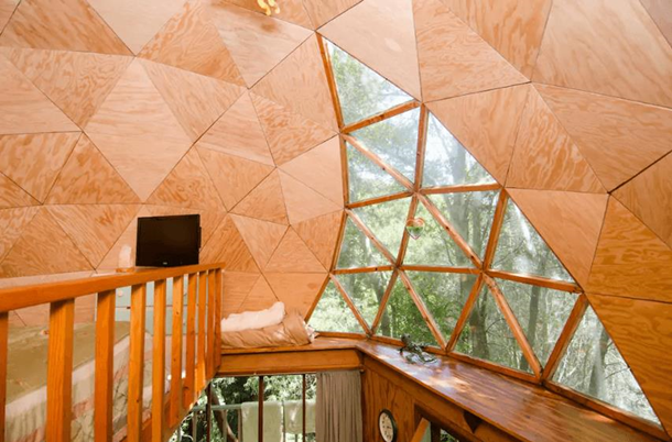 Самое популярное жилье Airbnb - хижина в виде гриба