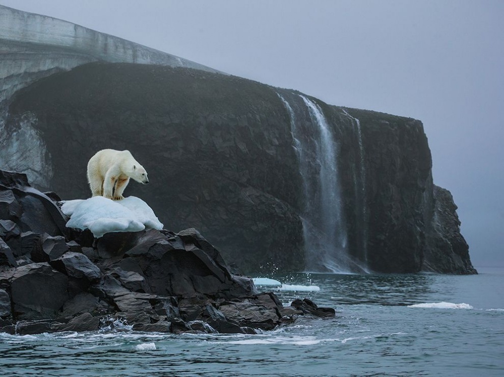 national geographic, фотосессия