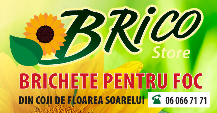 Floarea Soarelui SA: Топливные брикеты «Brico» - экологическое тепло ®