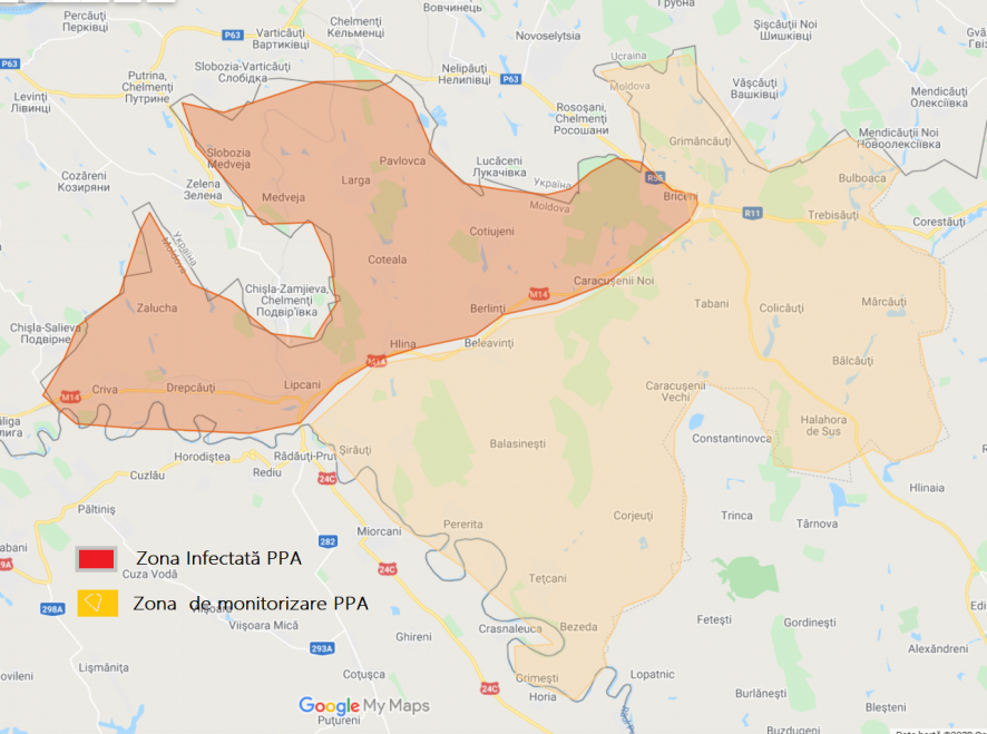 Вспышка африканской чумы свиней обнаружена в Бричанском районе