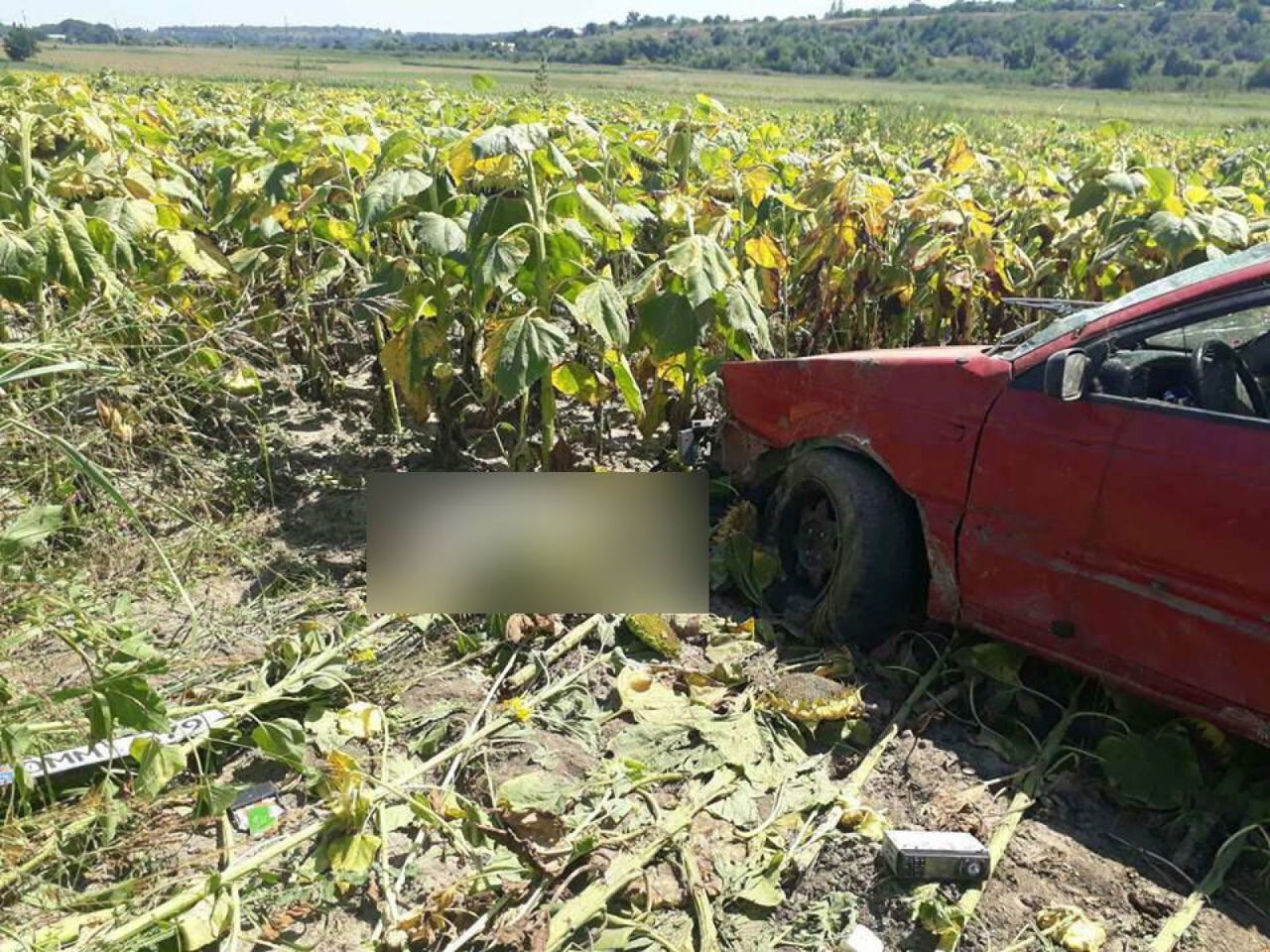 В Новоаненском районе произошло смертельное ДТП
