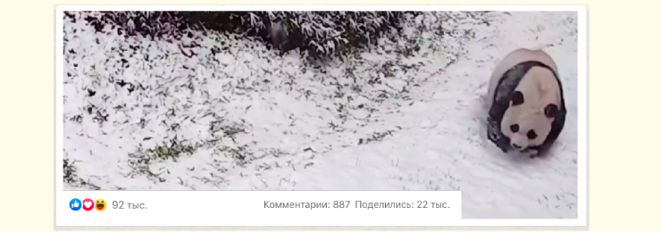 Point.md исполняется 15 лет
