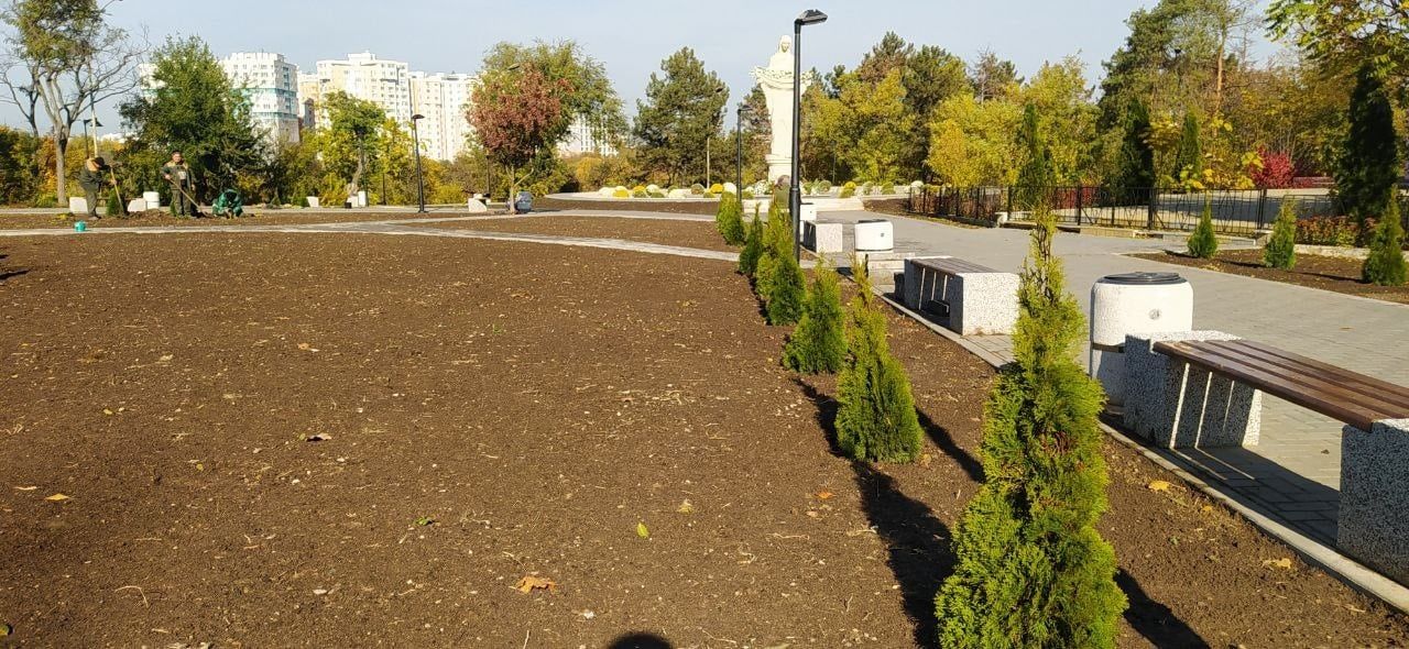 В сквере памяти жертв Чернобыльской катастрофы высадили деревья