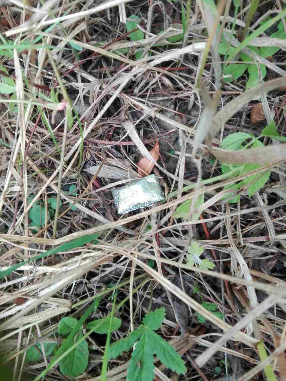 Bănuiți de consum de droguri, prinși în zona de frontieră