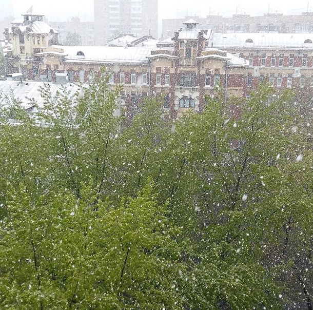 Москву засыпало снегом