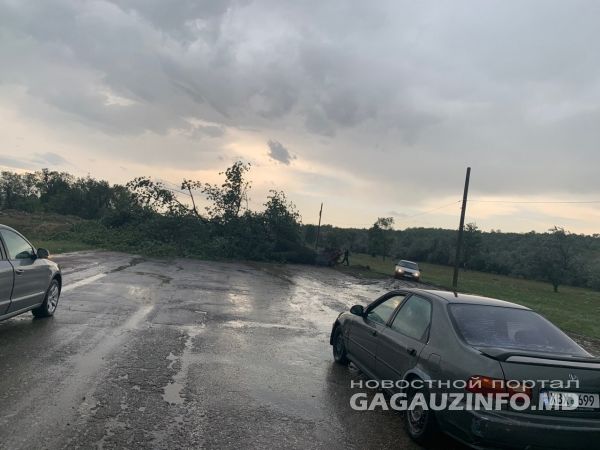 На Комрат обрушилась непогода, упавшее дерево перегородило северный въезд