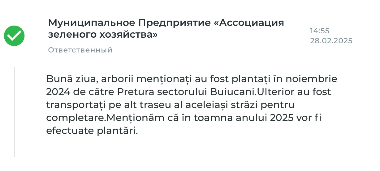 În Capitală dispar copacii proaspăt plantați