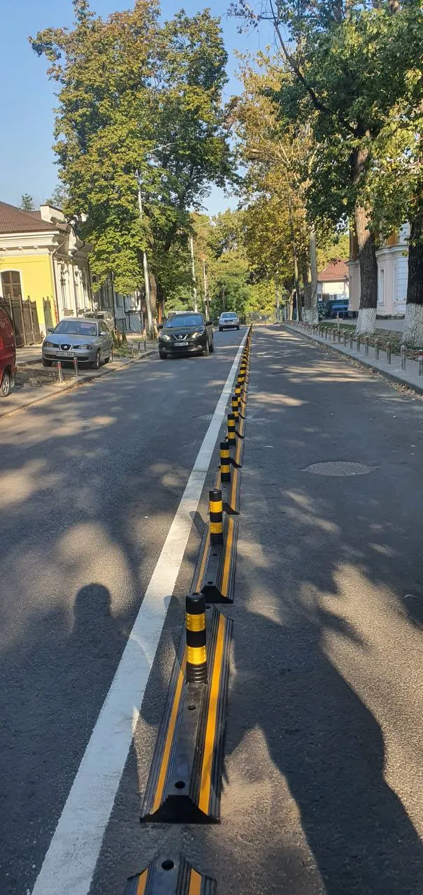 На улице 31 августа в Кишиневе началась установка разделителей для велодорожки
