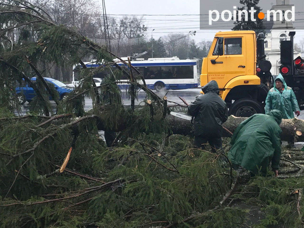 Principalul pom de Crăciun al țării, tăiat bucăți înainte de inaugurare