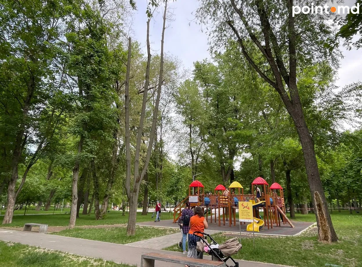 В парке "Алунелул" сухое дерево до сих пор нависает над детской площадкой