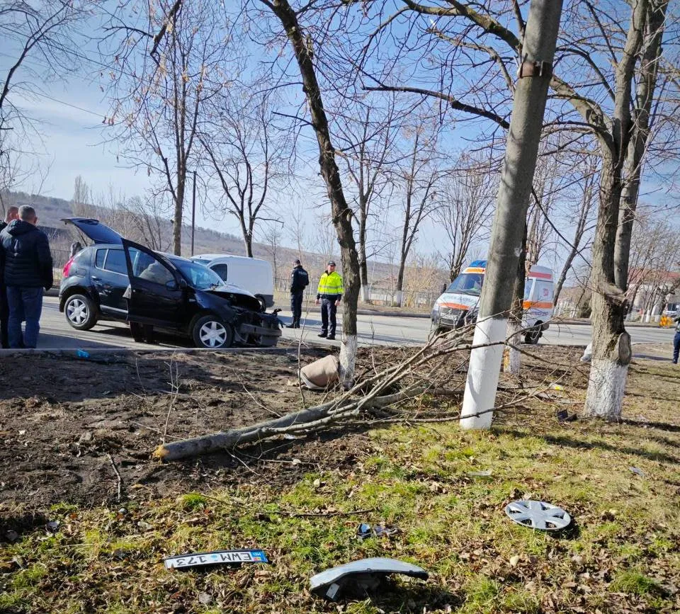 ДТП в Сынжерей: авто выехало с дороги и врезалось в дерево