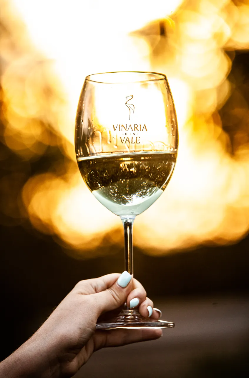 Доступные вина производителя Vinăria din Vale награждаются медалью