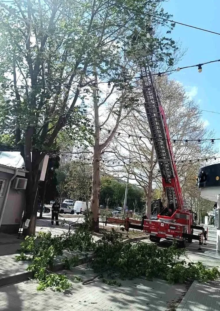 ГИЧС подвёл итоги шквалистого ветра: более 100 выездов и пострадавшие