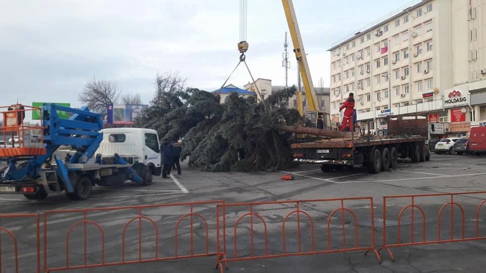 В Яловенах установили рождественскую елку