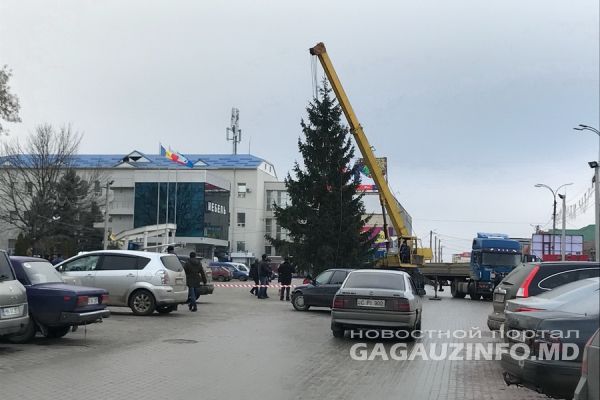 În Comrat a fost instalat bradul de Crăciun: Are 14 metri înălțime și a costat 15.000 de lei