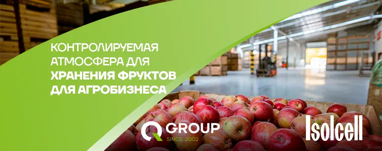 QGroup: Как продавать урожай круглый год: технология Isolcell для хранения фруктов