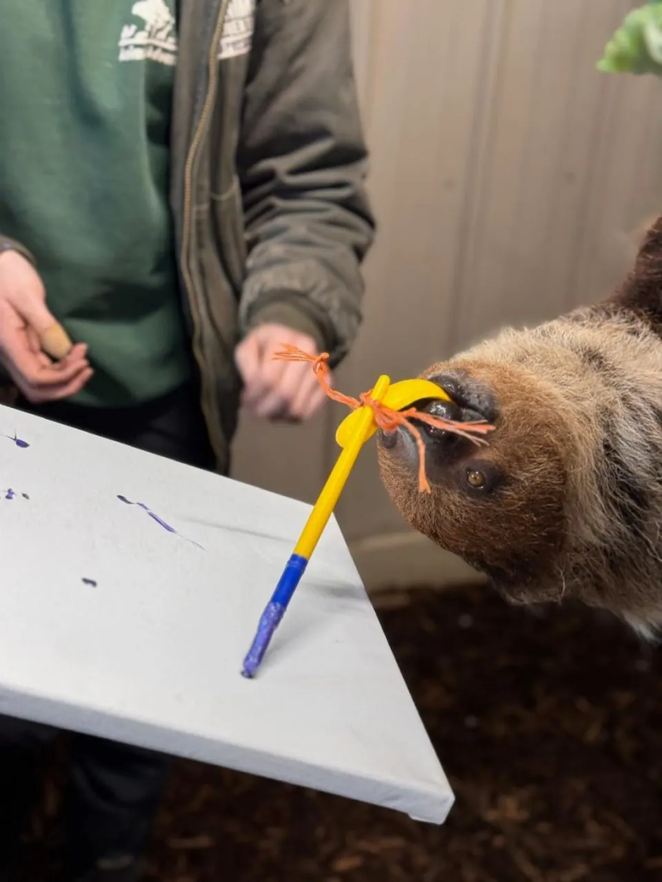 Tablouri pictate de animale, scoase la o licitație în New York