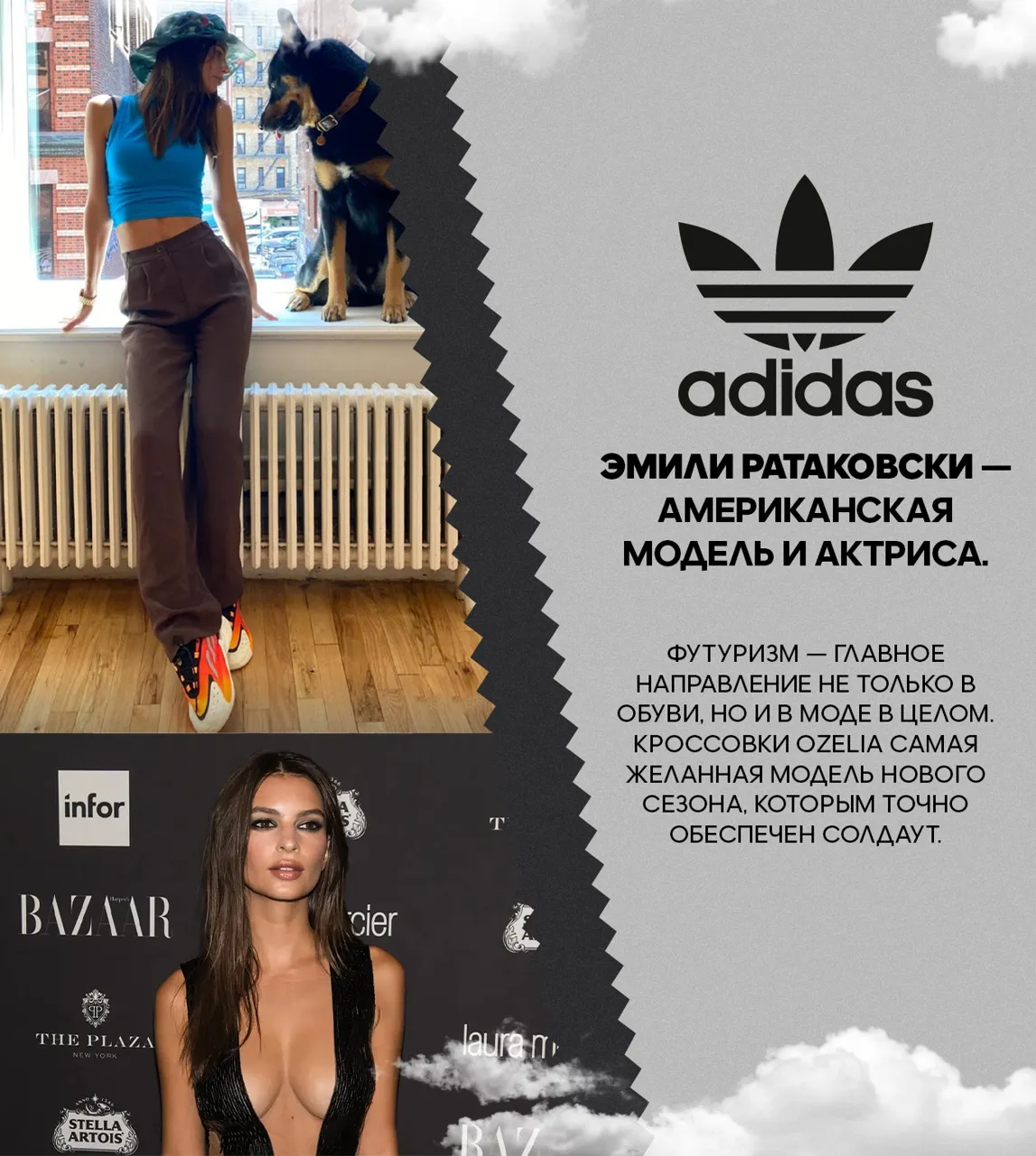Adidas: Культовый трилистник в новой коллекции adidas Originals 2023