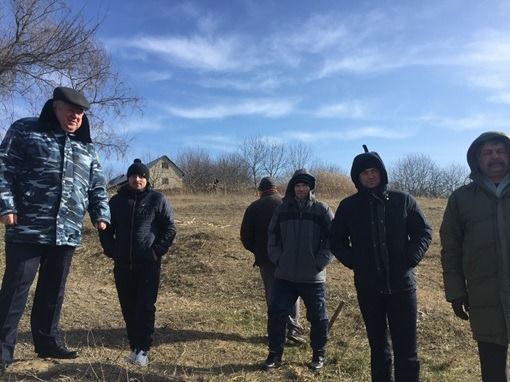 В Оргеевском районе спасли лебедей, оказавшихся в ловушке посреди замерзшего озера