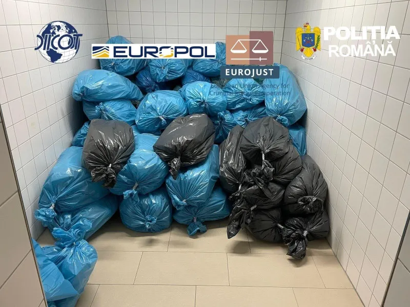 В Румынии раскрыли сеть наркоторговцев: перевозили контрабанду на миллионы евро
