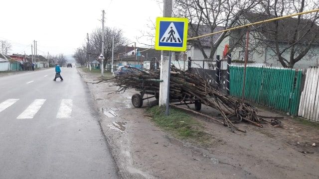Не справившись с управлением телегой, молодой сельчанин попал в больницу