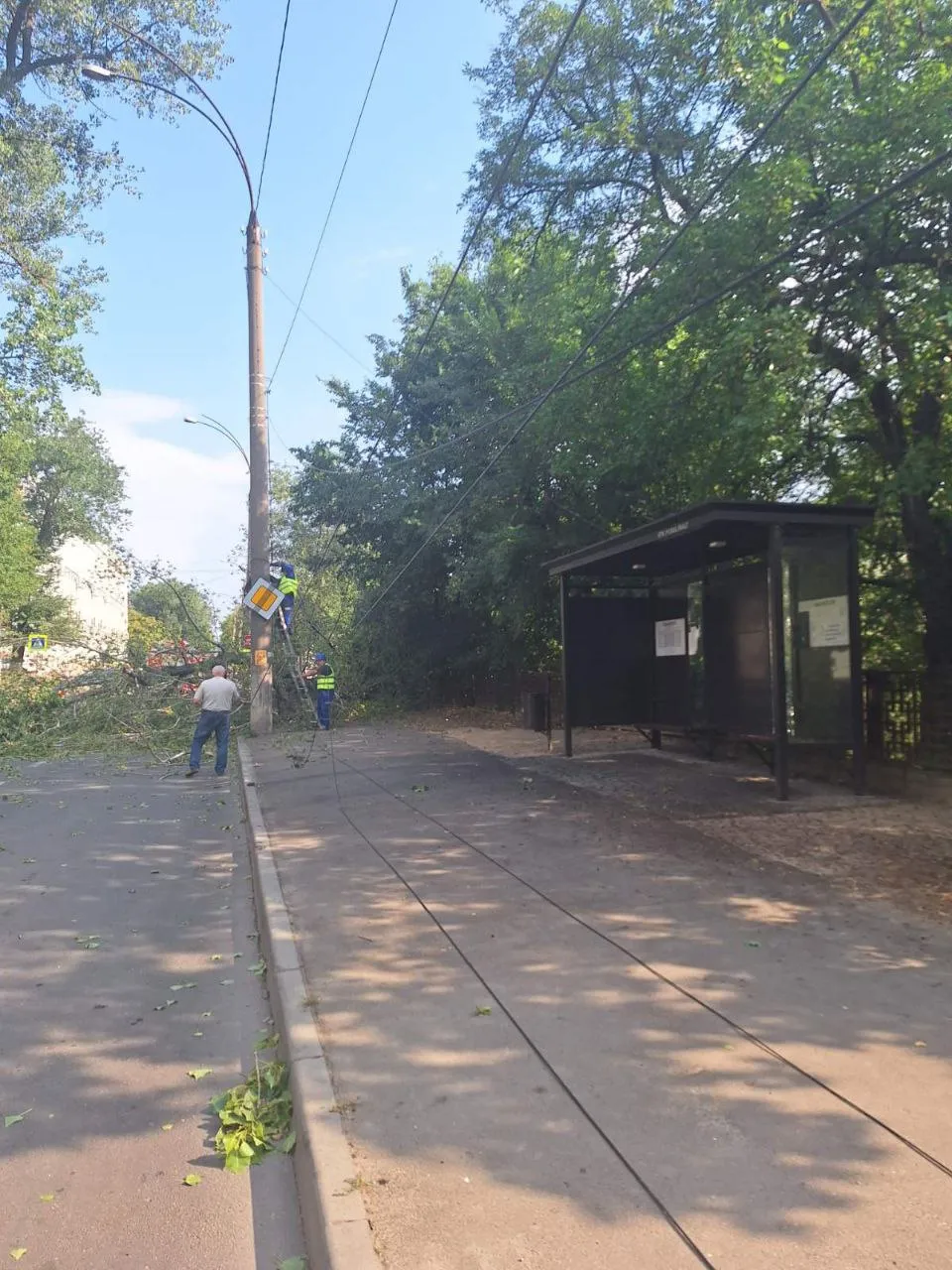 Consecințele furtunii în Capitală: Crengi rupte și copaci doborâți
