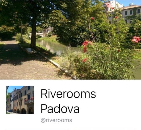 O moldoveancă, reținută în Italia pentru înșelătorie online. Lua bani de la studenți și dispărea