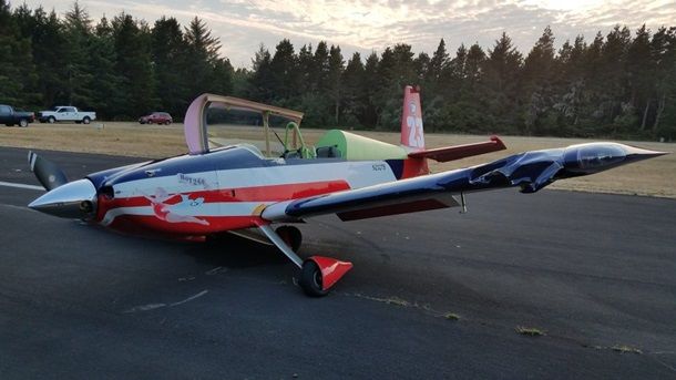 В США самолет столкнулся с двумя оленями