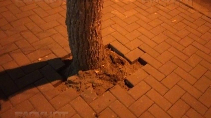 Кишиневец показал «ремонт по-европейски» бульвара Штефана чел Маре
