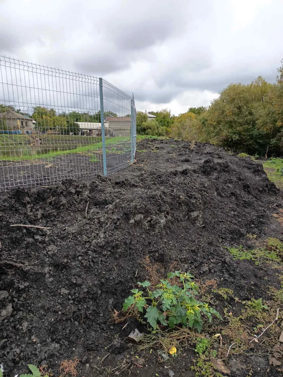 0869a05679d9af598fd15fb96e0decc7