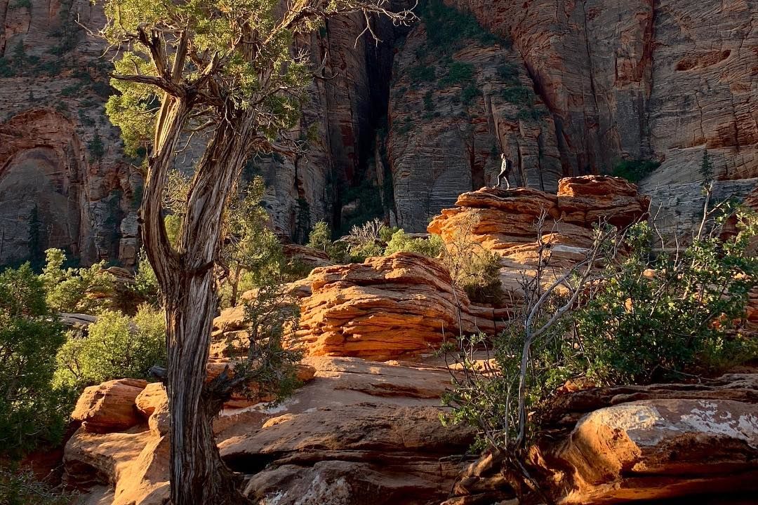Apple заплатит пользователям за фотографии на iPhone