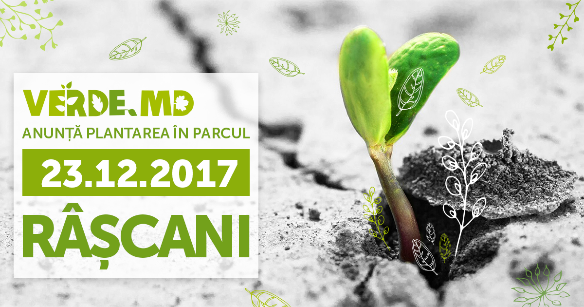 Verde.md anunță ultima plantare din anul 2017