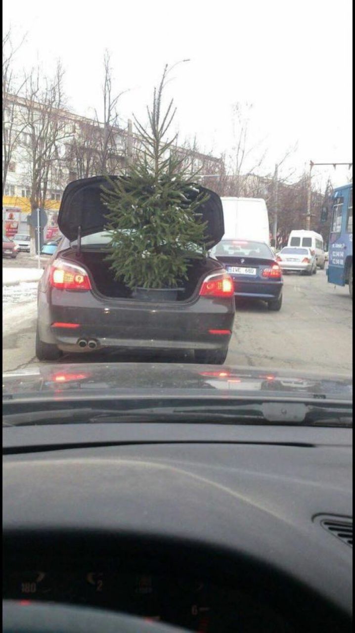 Cum transportă un șofer pomul de Crăciun prin oraș cu mașina