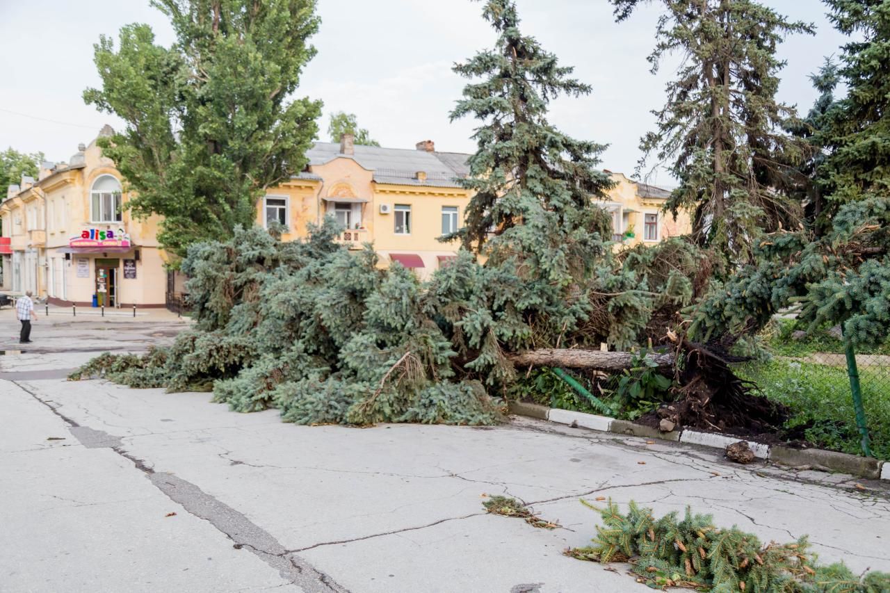 Спустя неделю после урагана в Бельцах остались поваленные деревья
