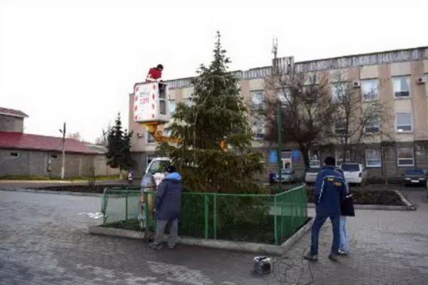 «Природу надо беречь»: в Чадыр-Лунге наряжают живую ель на городской площади