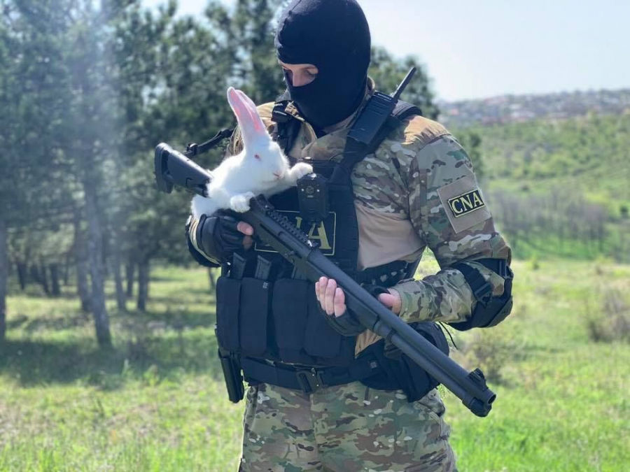 Офицеры НЦБК с кроликами и оружием: Мы можем быть белыми и пушистыми