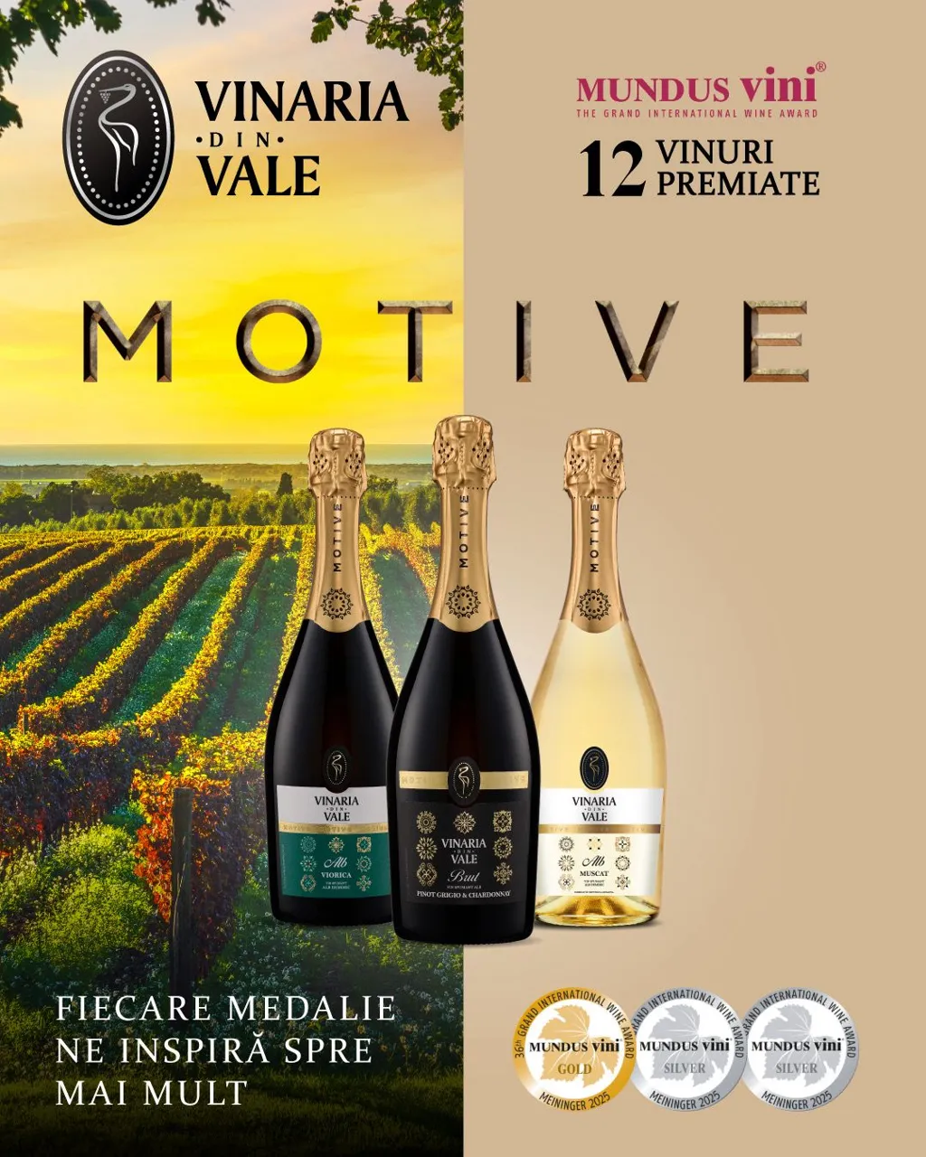 Vinăria din Vale: 12 medalii, 12 vinuri premiate - o nouă confirmare a excelenței