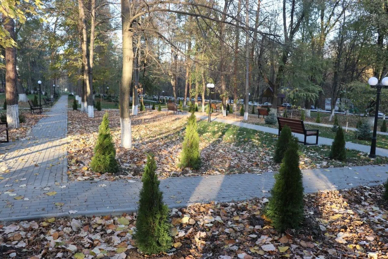 Возле столичной больницы «Святая Троица» обустроили зелёную зону