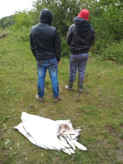 В трех районах выявлены случаи рыбного браконьерства