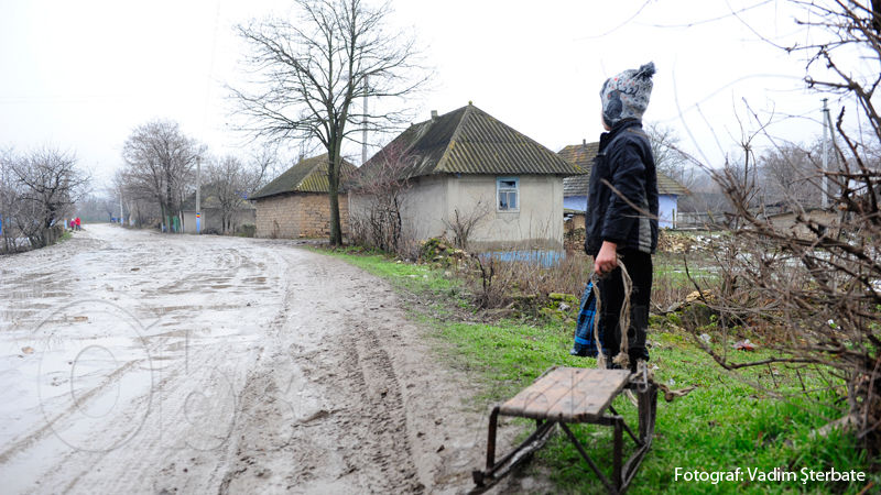 Fotografia zilei: Cu sania prin glod şi iarbă, aşteptând zăpada