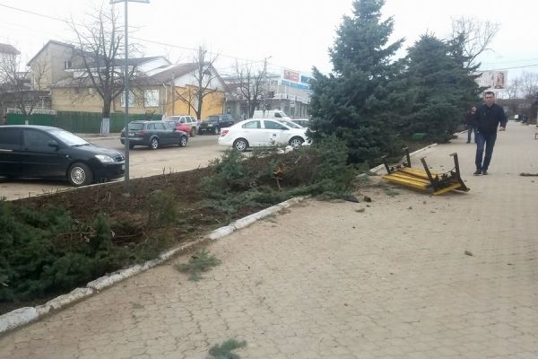 В Комрате автомобиль сбил фонарь и две ели прямо у здания примэрии