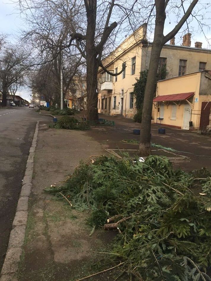Улицы Одессы завалены непроданными елками