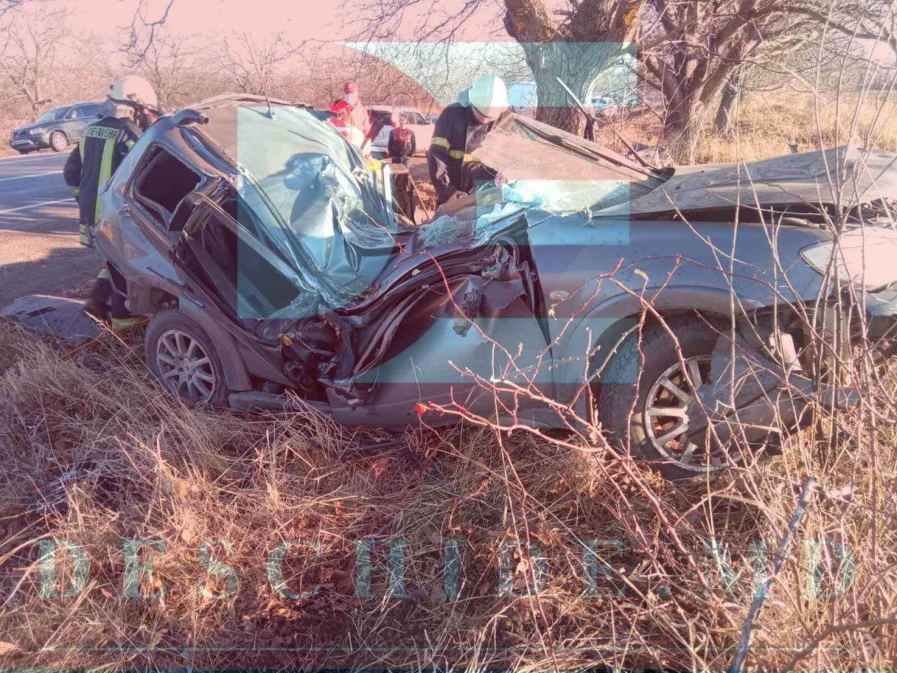 В Рышканском районе внедорожник врезался в дерево: водитель погиб