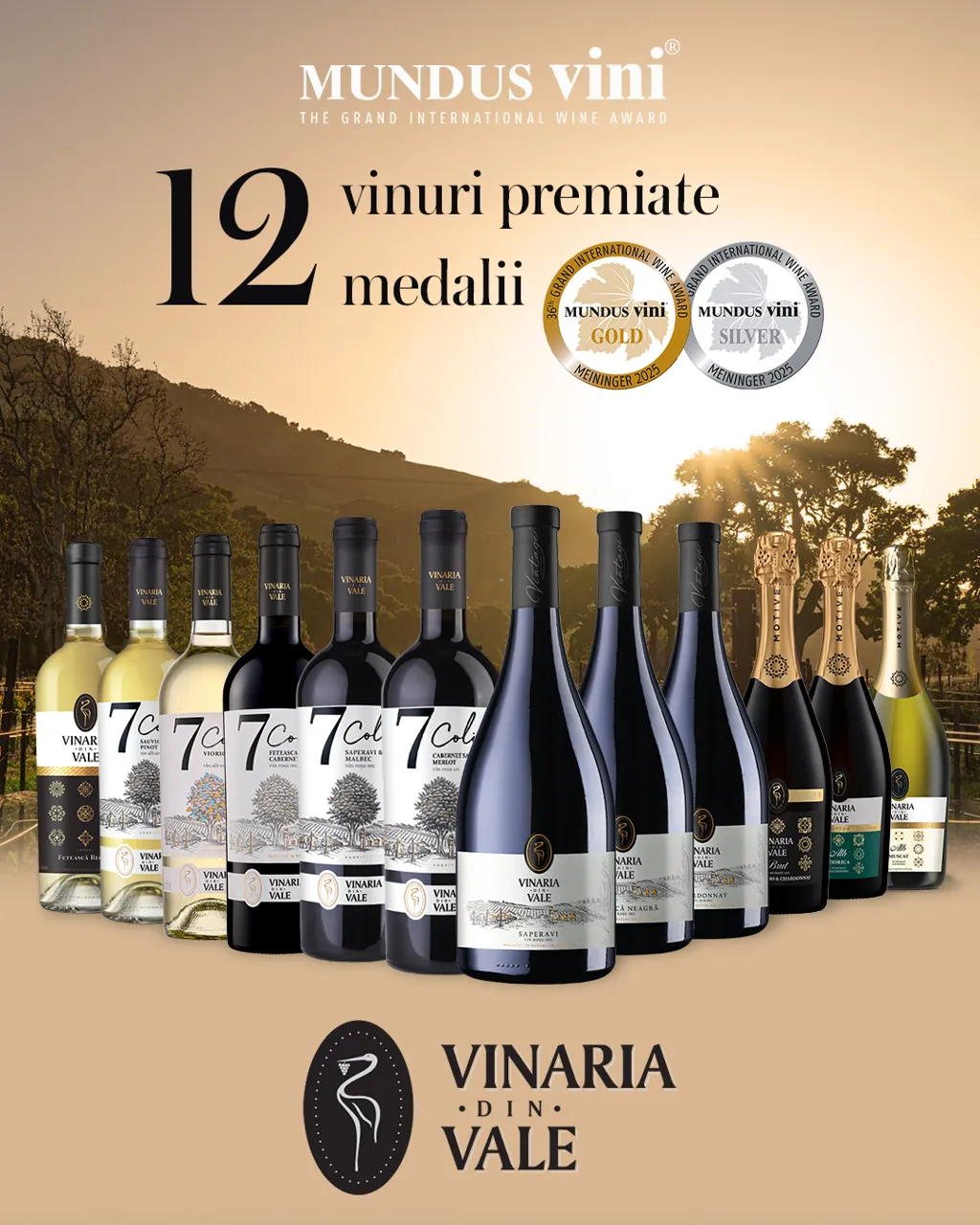 Vinăria din Vale: 12 medalii, 12 vinuri premiate - o nouă confirmare a excelenței