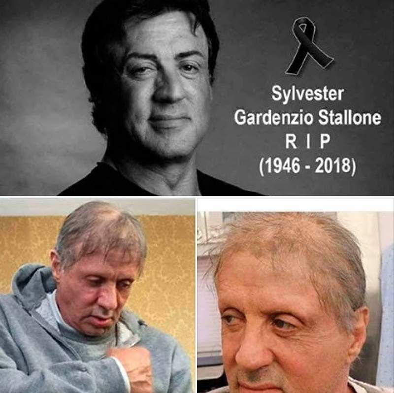 „Sylvester Stallone a murit”. Reacția actorului după ce o știre falsă s-a răspândit în întreaga lume