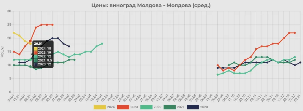 Виноград «Молдова» стремительно дешевеет