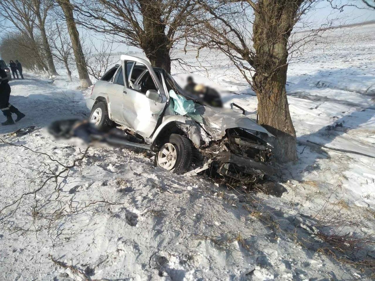 В Бричанском районе автомобиль врезался в дерево: два человека погибли