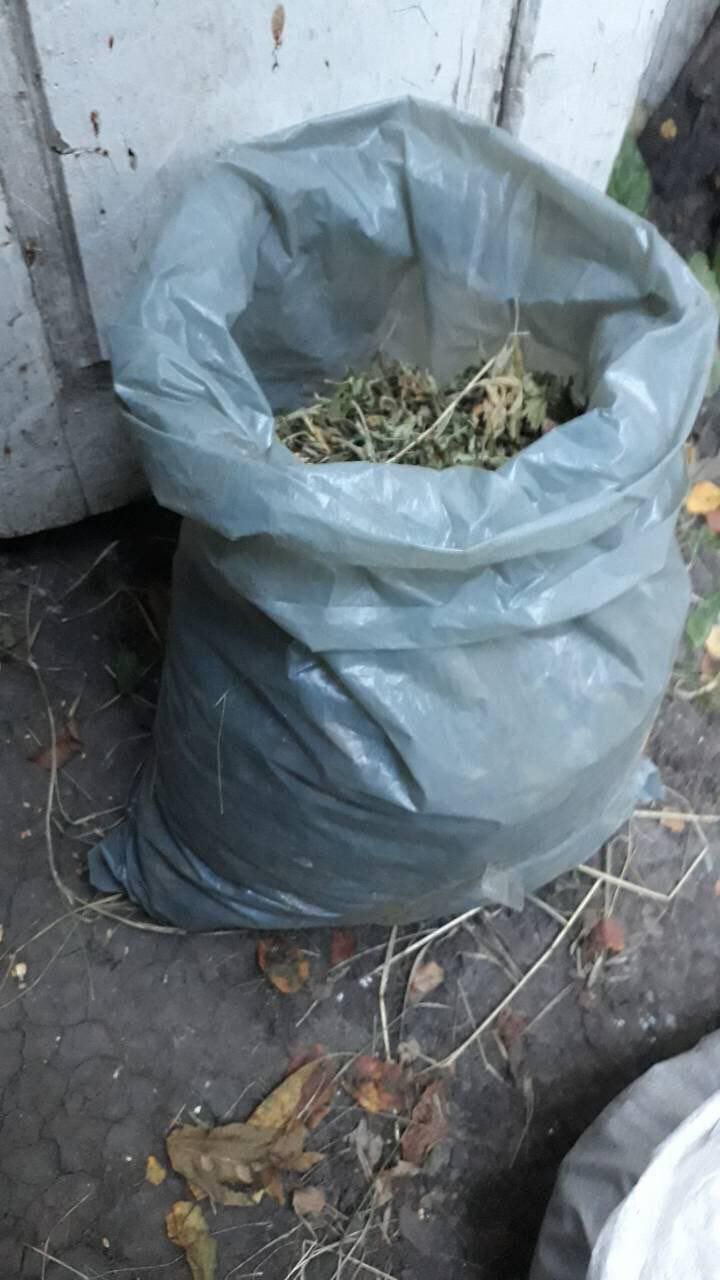 В Сороках задержали 14 наркоторговцев, ввозивших наркотики в Молдову из ЕС