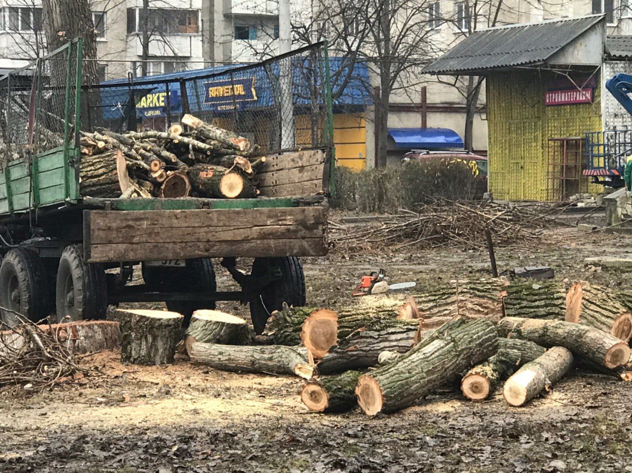 В Кишиневе возле канатной дороги вырубают деревья и работают геодезисты