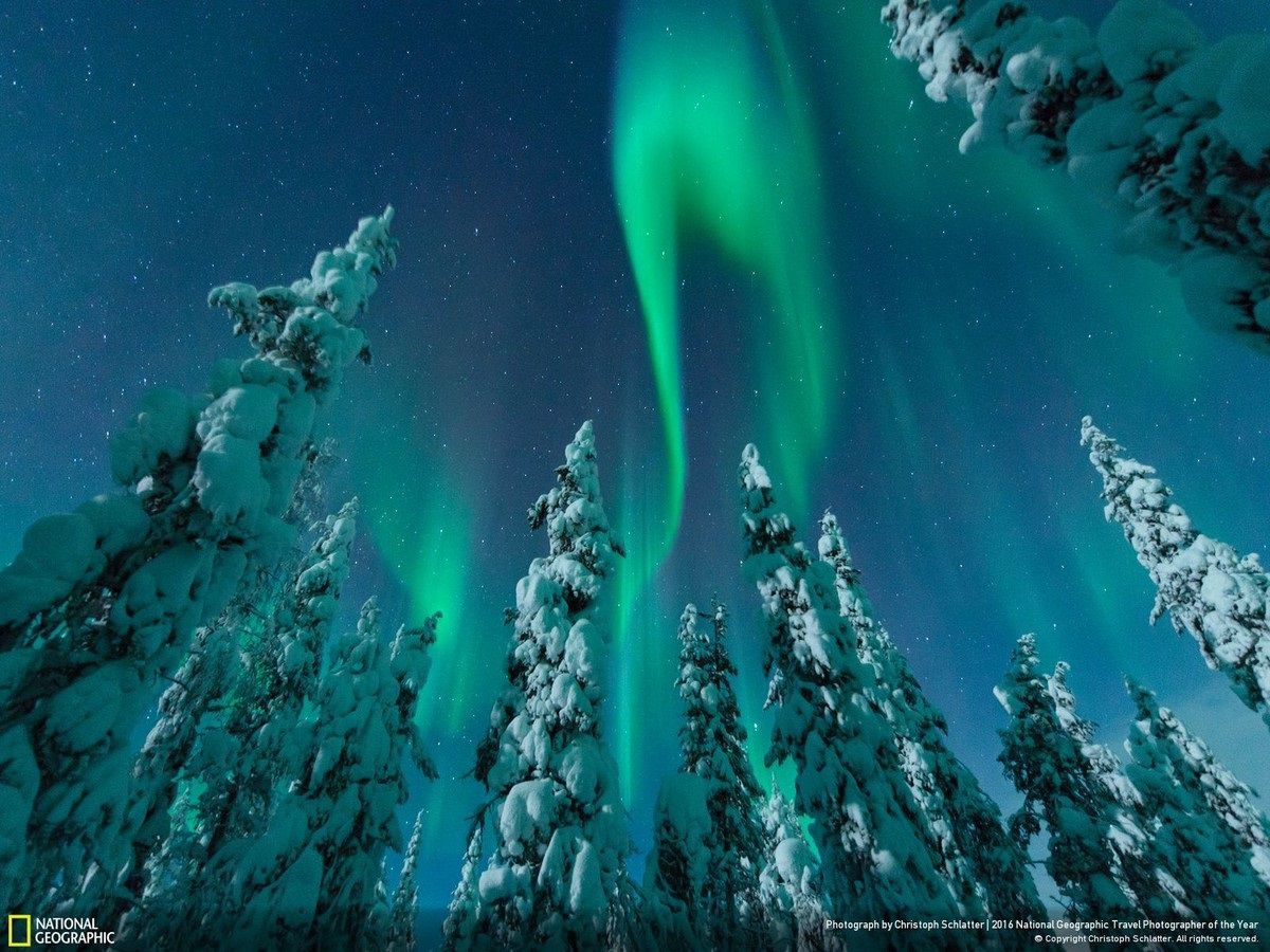 National Geographic показал лучшие фото природы